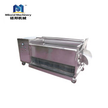 Soft brush fruit and vegetable cleaner vegetable and fruit washing machine